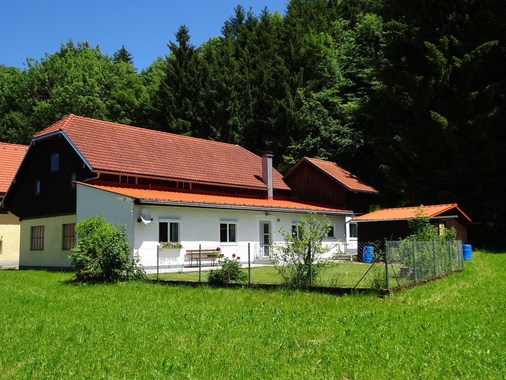 Haus Im Gruenen - Gmundennaehe Pinsdorf Dış mekan fotoğraf