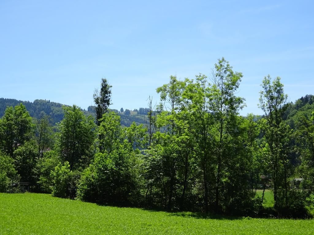 Haus Im Gruenen - Gmundennaehe Pinsdorf Dış mekan fotoğraf